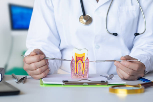 Best Broken or Chipped Tooth Repair in USA